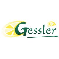 Gessler GmbH Logo